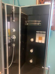 a shower with a glass door in a bathroom at Cozy 1-bedroom in a secure area with private beach in Mammee Bay