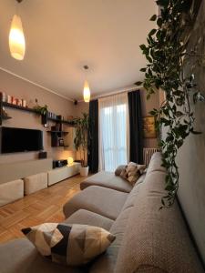 米蘭的住宿－Premium high floor design apartment in Città Studi，一间客厅,客厅里配有三个沙发