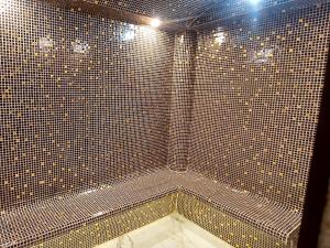 a bathroom with a shower with tiled walls at Atlantis Air de France - Alger in Bouzareah