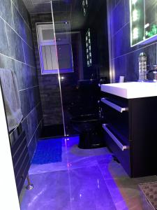 a bathroom with a shower and a toilet with purple lights at The_Spa_Cave in Murroes
