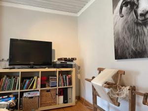 TV a/nebo společenská místnost v ubytování Holiday home Koppom