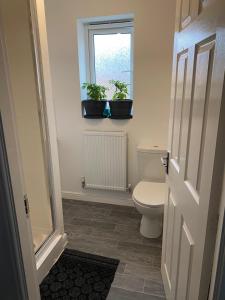 baño con aseo y 2 plantas en una ventana en Loving Home to Stay with Rear Garden and Patio, en Rochdale