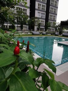 ein Schwimmbad in einem Gebäude mit einer Anlage in der Unterkunft Kajang Industrial House with Olympic Size Swimming Pool in Kajang