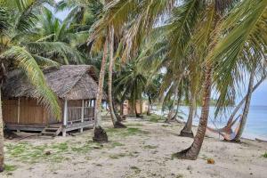 Wagsalatupo GrandeにあるPrivate Room in San Blasのヤシの木が茂る浜辺の小屋 +29枚の写真