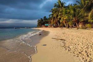 una playa de arena con palmeras y el océano en Private Cabin in San Blas, en Waisalatupo
