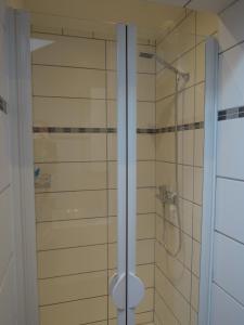 a shower with a glass door in a bathroom at Salvesenheim in Tarrenz