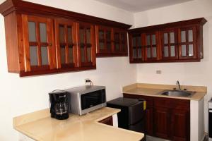 a kitchen with a microwave and a sink at Dominican Suite 21, Amazing Apt/Studio (DS21) in San Felipe de Puerto Plata