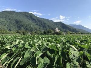 民宿周边自然景观