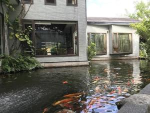 吉安的住宿－花蓮金澤居民宿樹窩民宿御安居民宿寵物友善，房屋前有锦 ⁇ 池的房屋