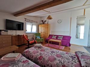 un salon avec un canapé violet et une télévision dans l'établissement Anita Studio apartment with terrace, à Rijeka
