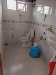 a bathroom with a toilet and a sink at IMPERIAL COTTAGE, HILL BUNK OOTY in Ooty