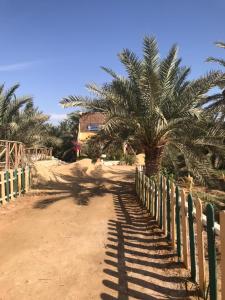 a fence with a palm tree in the middle of a dirt road at Olive Garden House in ‘Izbat Zaydān