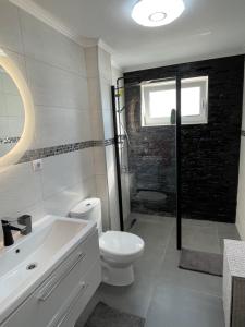 a bathroom with a toilet and a sink and a shower at Tiberiu Ricci Apartament in Sibiu +14 photos