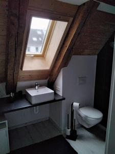 a bathroom with a sink and a toilet at der brennerhof in Immendingen