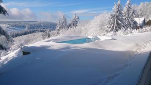 a bath tub covered in snow on a mountain at Penzion Patrik Mikulčin vrch in Vápenice