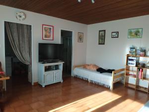 TV a/nebo společenská místnost v ubytování Jardin Fleuri