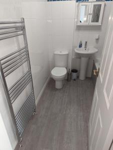 a bathroom with a toilet and a sink at Teith court apartment with private parking. in Stirling