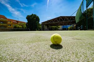 a tennis ball sitting on a tennis court at Apartmány Gulliver in Mikulov