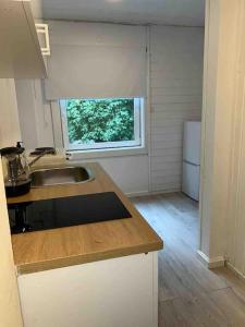 een kleine keuken met een wastafel en een raam bij Sentral leilighet i Gamle Oslo in Oslo