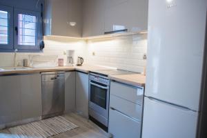 a kitchen with a white refrigerator and a sink at Luxurious House with backyard in Volos