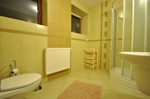 a bathroom with a white toilet and a sink at Willa Marysieńka in Zakopane +72 photos