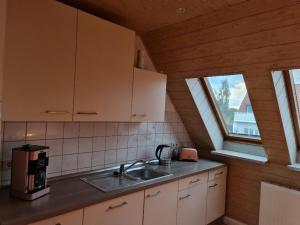 een keuken met een wastafel en 2 ramen in een kamer bij Ferienwohnung Carola in Altenburg