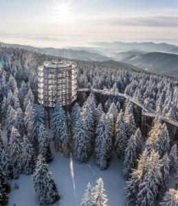 une vue aérienne sur une forêt avec des arbres enneigés dans l'établissement Hotel Brinje, à Zreče