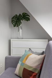 コウォブジェクにあるApartamenty Koło Brzegu by Noclegi Rentersのソファに座る花瓶の植物