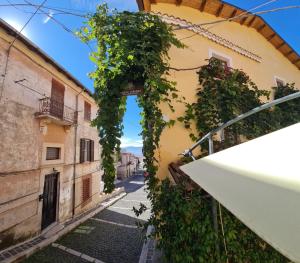 an alley with ivy on the side of a building at Scaccia pensieri in Cerchio