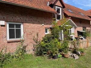 a brick house with a bunch of plants in the yard at Little Cottage in Visselhövede