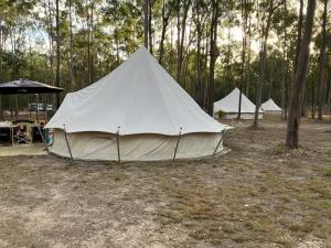 ein Zelt inmitten eines Feldes mit Bäumen in der Unterkunft Childers Nature Camp in Childers