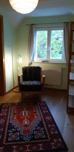 a living room with a chair and a rug and a window at Ferienwohnung Koch in Odenthal