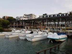 un groupe de bateaux amarrés dans l'eau avec un train dans l'établissement Marjaan Apartments, à Mombasa