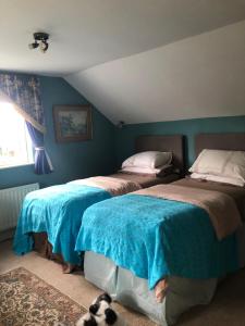 a bedroom with two beds and a dog laying on the floor at Tallow House in Ludlow