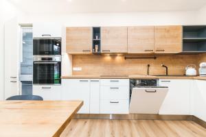 Kuhinja oz. manjša kuhinja v nastanitvi Apartmán SKI Plešivec
