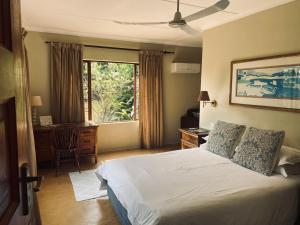 Schlafzimmer mit einem Bett, einem Schreibtisch und einem Fenster in der Unterkunft Wild Fig Guesthouse in White River