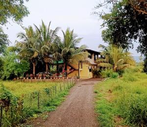 un camino de tierra que conduce a una casa con palmeras en Sarovar's Nest, en Avas