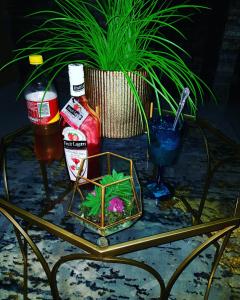 a table with a flower in a glass box on it at Ko-Porch luxury guest house in Polokwane