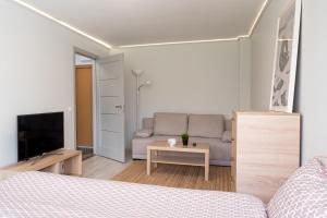 uma sala de estar com um sofá e uma televisão em DAILY Apartment em Anykščiai