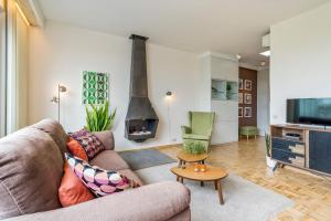 a living room with a couch and a fireplace at Fuths Loft Penthouse 85 in Antwerp