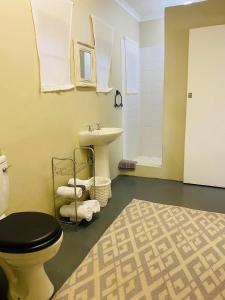 a bathroom with a toilet and a sink at Wild Fig Guesthouse in White River