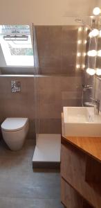 a bathroom with a toilet and a sink at Mecklenburgische Seenplatte - Saniertes und gemütliches Ferienhaus mit großem Garten und Steg in Großzerlang