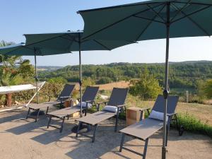 una fila de sillas y sombrillas en un patio en Chambre d'hôtes à 10 mn au sud d'Auch, en Orbessan