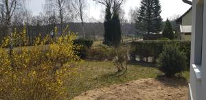 a garden with trees and yellow flowers in a yard at Mecklenburgische Seenplatte - Saniertes und gemütliches Ferienhaus mit großem Garten und Steg in Großzerlang