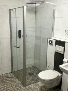 a bathroom with a shower with a toilet and a sink at Hotel Villa am Paradies in Jena