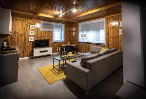 什切爾克的住宿－Apartamenty MIODZIO，带沙发和电视的客厅