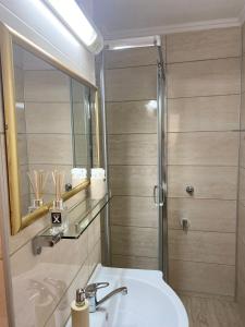 een badkamer met een wastafel en een douche bij Studio PANORAMIC in Alba Iulia