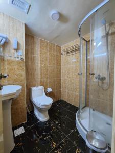 uma casa de banho com um WC, um chuveiro e um lavatório. em Phoenicia Grand Hotel no Dubai