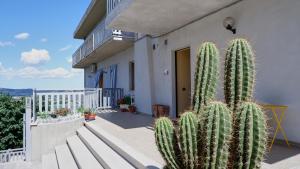 einen Kaktus auf dem Balkon eines Hauses in der Unterkunft B&B del Cactus in Corridonia