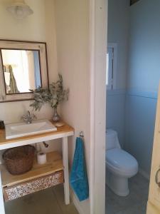 ein Badezimmer mit Toilette, Waschbecken und Spiegel in der Unterkunft Los pinares in Santa Clara del Mar + 22 Fotos